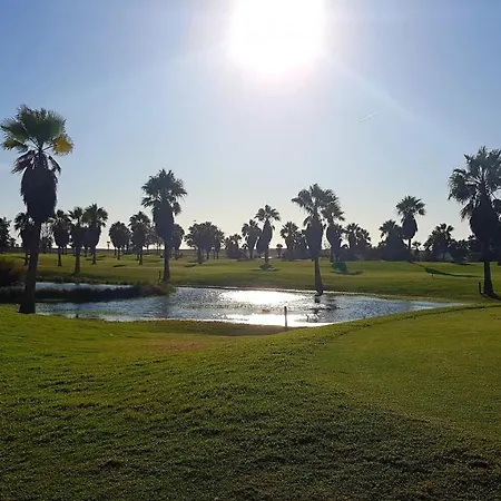 Lovers 26 * البوفيرا