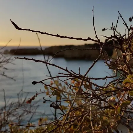 Lovers 26 阿尔布费拉